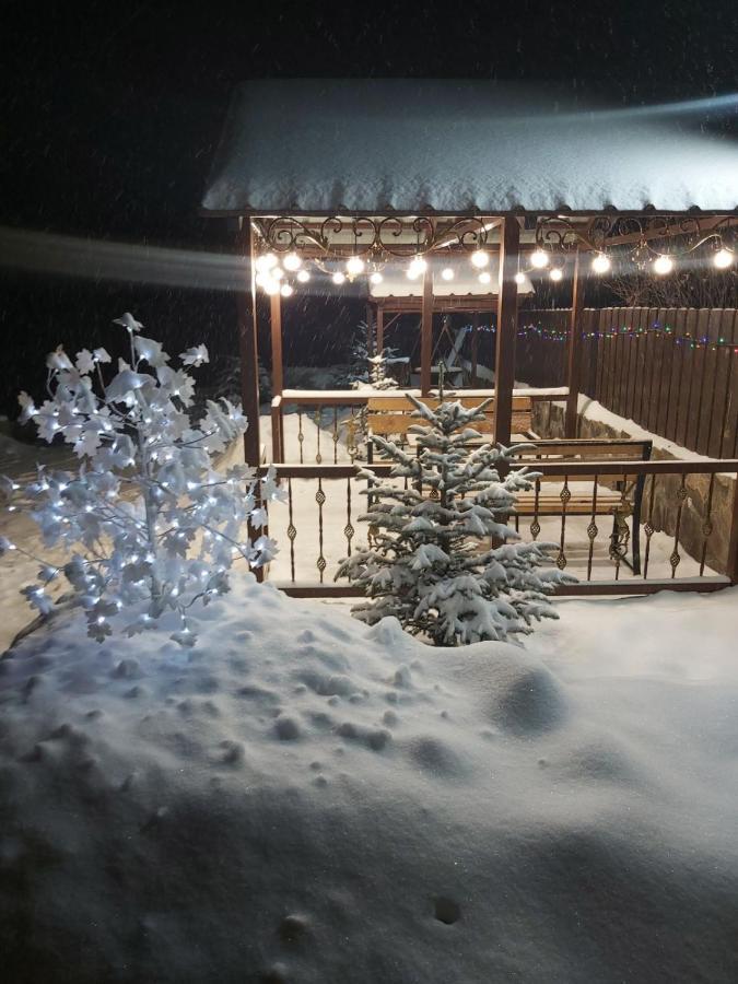 Konstantine's Chalet Bakuriani Exterior foto